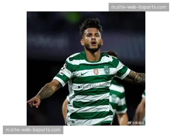 葡萄牙体育青训体系持续产出 年轻球员欧战经验积累效果显著